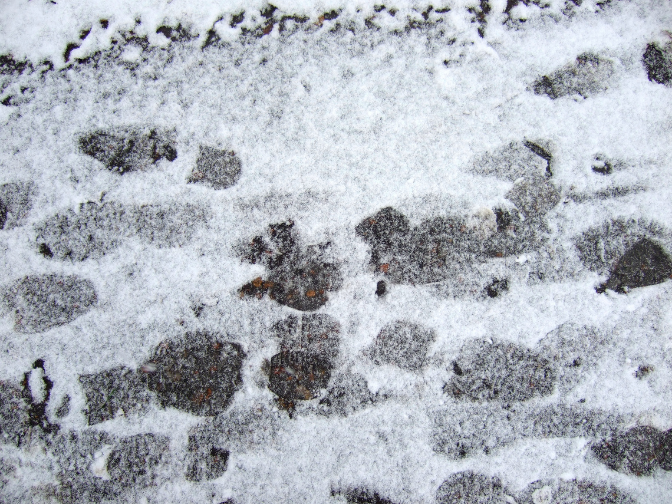 Winter